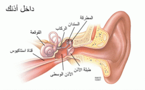 إلتهابات الأذن الوسطى 2