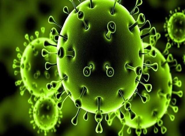 الحالات الأكثر عرضة للإصابة بفيروس كورونا