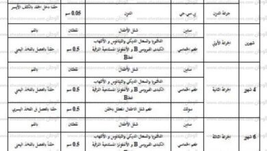 Photo of  جدول التطعيمات الإجبارية في مصر بعد تحديثه بالتفاصيل